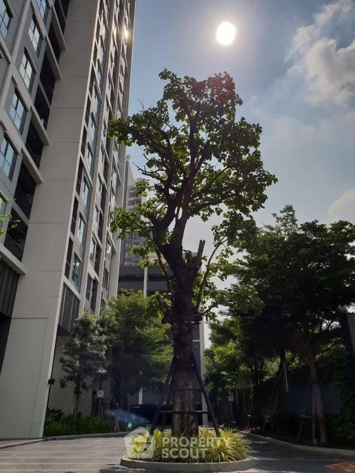 รูป คอนโด 1 ห้องนอน 40 ตร.ม. ชั้น 16 ที่ Life Sukhumvit 48 ใกล้ BTS พระโขนง (ID 2640596) - รูปที่ 12/15