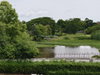 listing thumbnail image 46