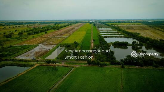 รูป ขายที่ดินเปล่าพระอาจารย์ องครักษ์ นครนายก 8แปลง 100-150ตรว - รูปที่ 3/5