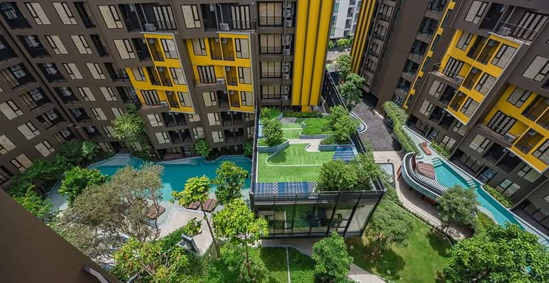 picture For sale : The Base Central condo, Phuket - 7/7