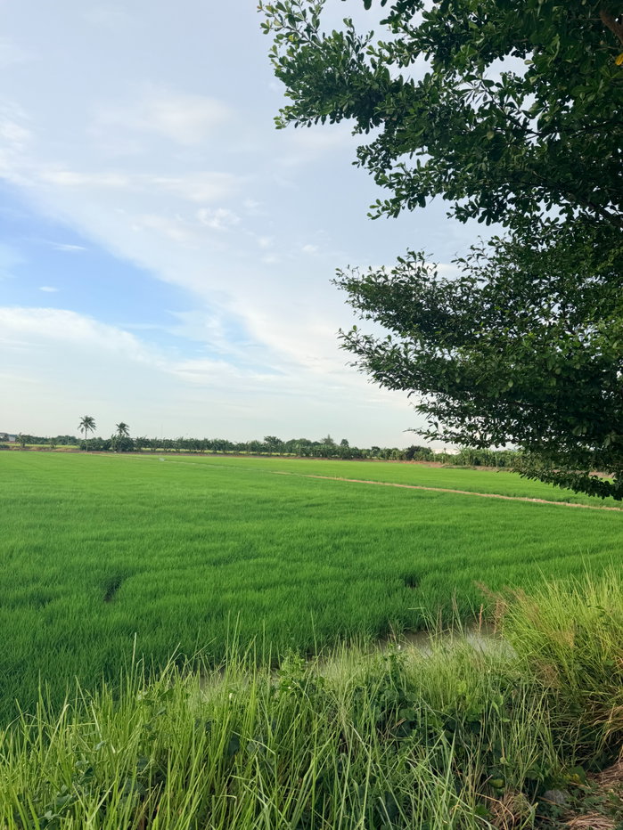 รูป ขายที่ดินแบ่งแปลง ถมแล้ว บางบัวทอง ตร.ว.ละ 10,000-11,000 บาท ขนาด 75-400 ตรว. - รูปที่ 4/8