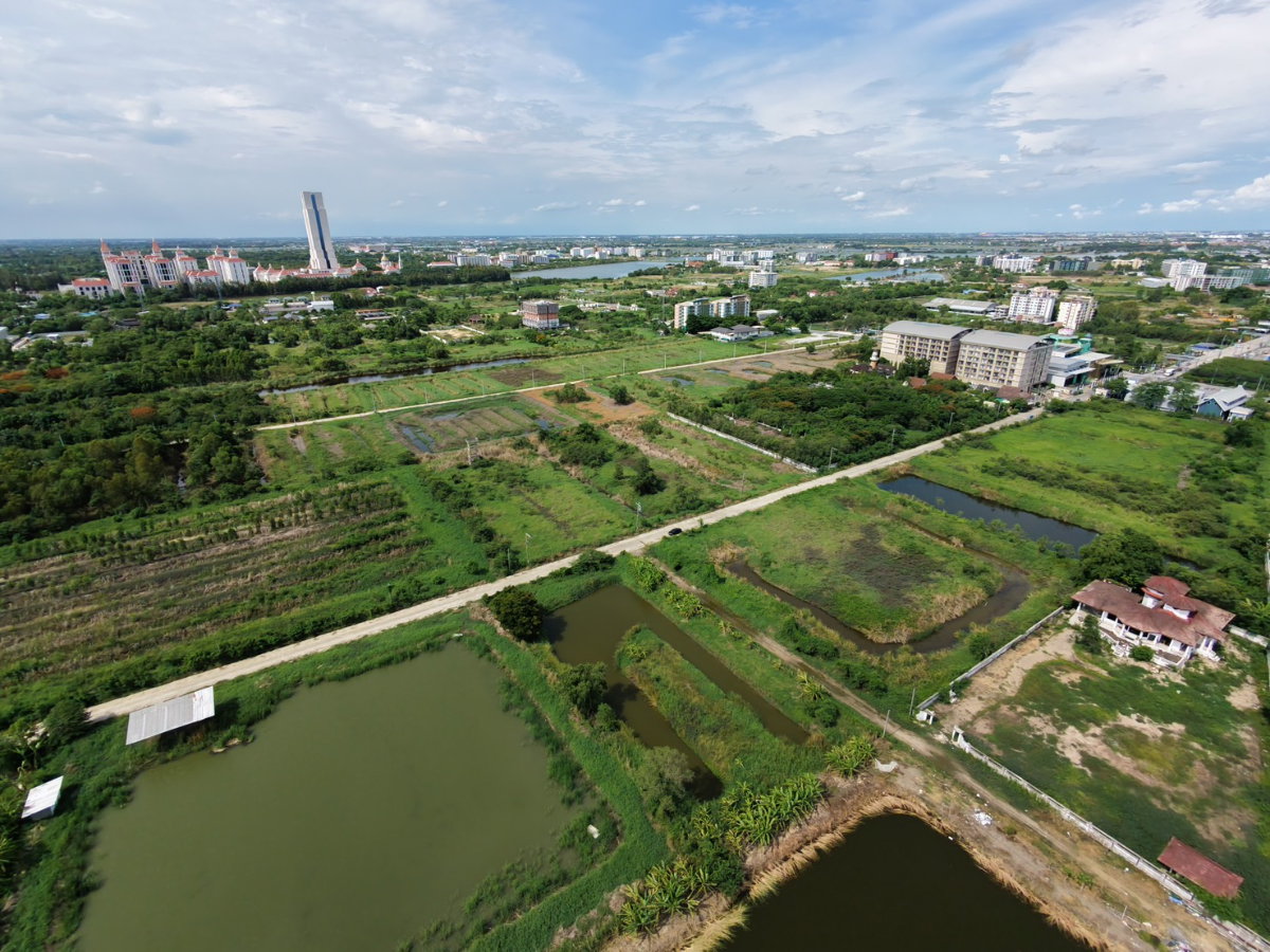 รูป ขายที่ดิน 2 ไร่ ใน ซอย เอแบค บางนา  ซอย หมู่บ้าน บางนา การ์เด้น 9  ใกล้ ABAC บางนา บางพลี สมุทรปราการ - รูปที่ 4/5