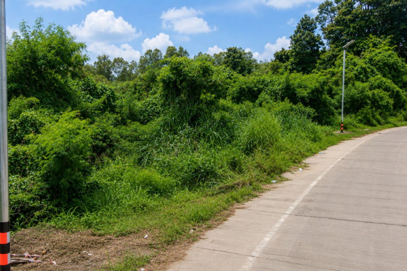 รูป ขายที่ดินเปล่า 141 ตร.ว. ทำเลดี บางพระ – ศรีราชาซอยบ้านลุงเทิ้ม ใกล้อ่างเก็บน้ำบางพระ จังหวัดชลบุรี - รูปที่ 2/6