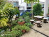 listing thumbnail image 1