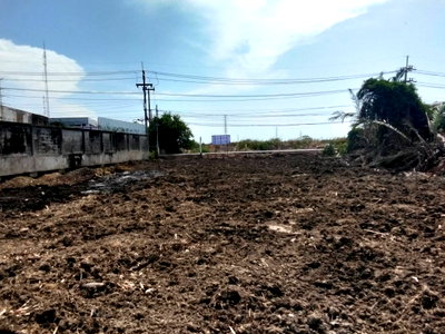 Land for sale Muang Samut Sakhon Samut Sakhon : Land for sale near Samut Sakhon Industrial Estate, close to Rama 2 Road. 3 rai 3 ngan 25 square wah.