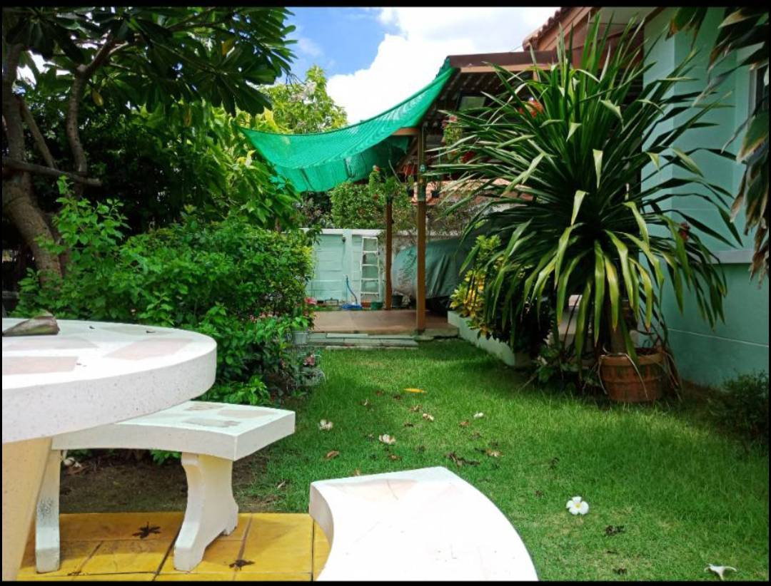 รูป บ้านเดี่ยว บางใหญ่ พร้อมสวน 80 ตรว. - รูปที่ 5/18