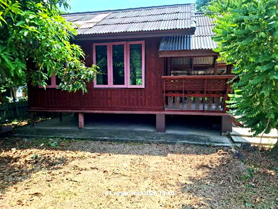 ขายบ้านเดี่ยว : บ้านเดี่ยว 150 ตร.วา แสวงหา อ่างทอง 633,000