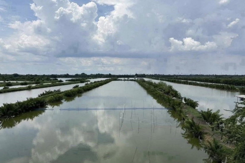 รูป ขาย ที่ดินแปลงใหญ่ 38.5 ไร่ ทำเลศักยภาพ พระสมุทรเจดีย์ จ.สมุทรปราการ ติดถนนทางหลวงชนบท สป.4010 (ถนนเลียบคลองสรรพสารมิต) - รูปที่ 2/6