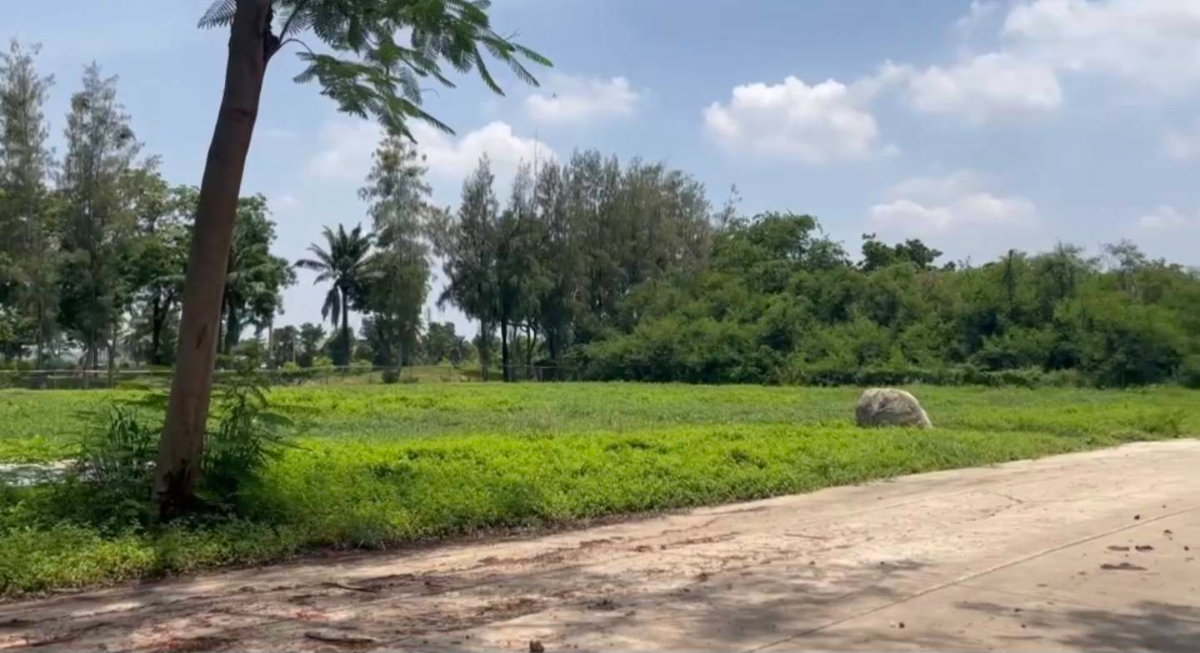 รูป ให้เช่าที่ดินแถว ซาฟารีเวิลด์ 2-2-78 ไร่ กว้าง 90 เมตร ลึก 66 เมตร  25,000-35,000 - รูปที่ 1/3