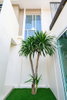 listing thumbnail image 9