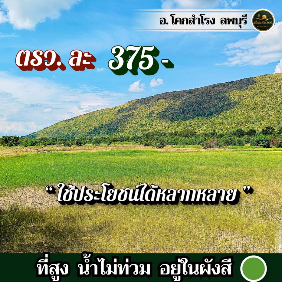 รูป ที่โคกสำโรง ลพบุรี🔥ไร่ละ 150,000🔥ติดลาดยาง มีไฟ ใกล้ ถ.205 พหล และบายพาสสายใหม่ ขายยก 28 ไร่กว่า แถมที่งอกฟรีๆ ถึง 4 ไร่‼️โอนฟรี‼️ - รูปที่ 3/4