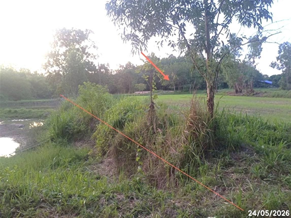รูป ที่ดินว่างเปล่า 6306 ตร.วา เดชอุดม อุบลราชธานี 1.9M - รูปที่ 12/22