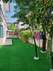 listing thumbnail image 11