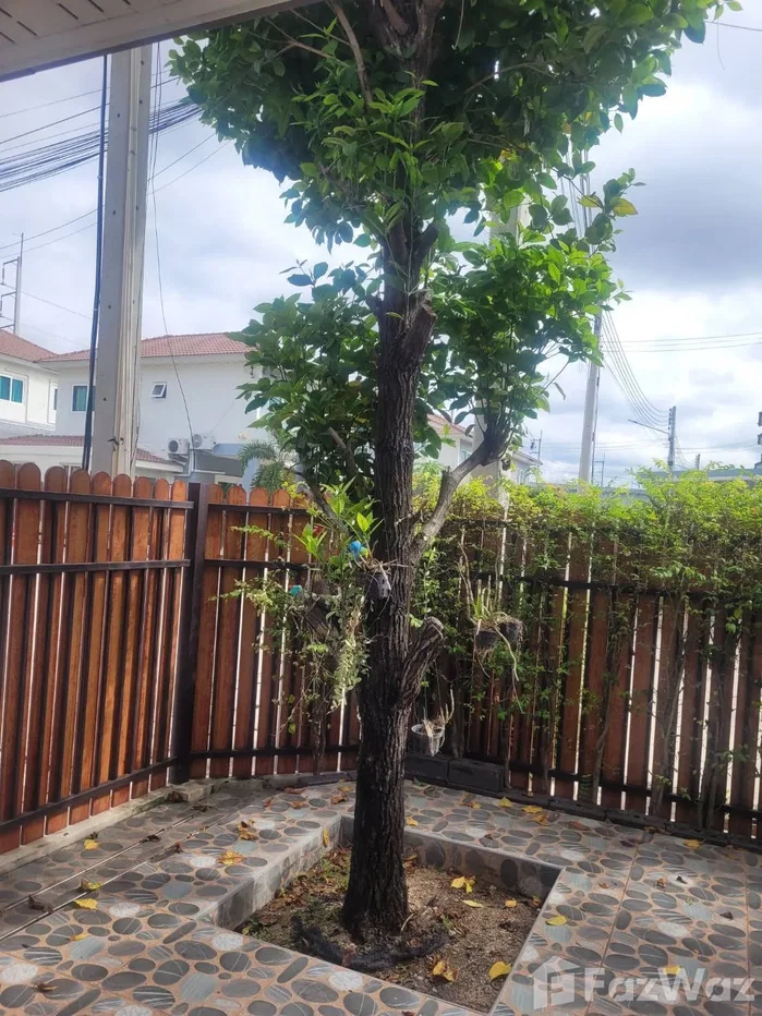 รูป บ้านเดี่ยวให้เช่า 3 ห้องนอน ในโครงการ Supalai Primo Pattaya 6262696 - รูปที่ 16/16