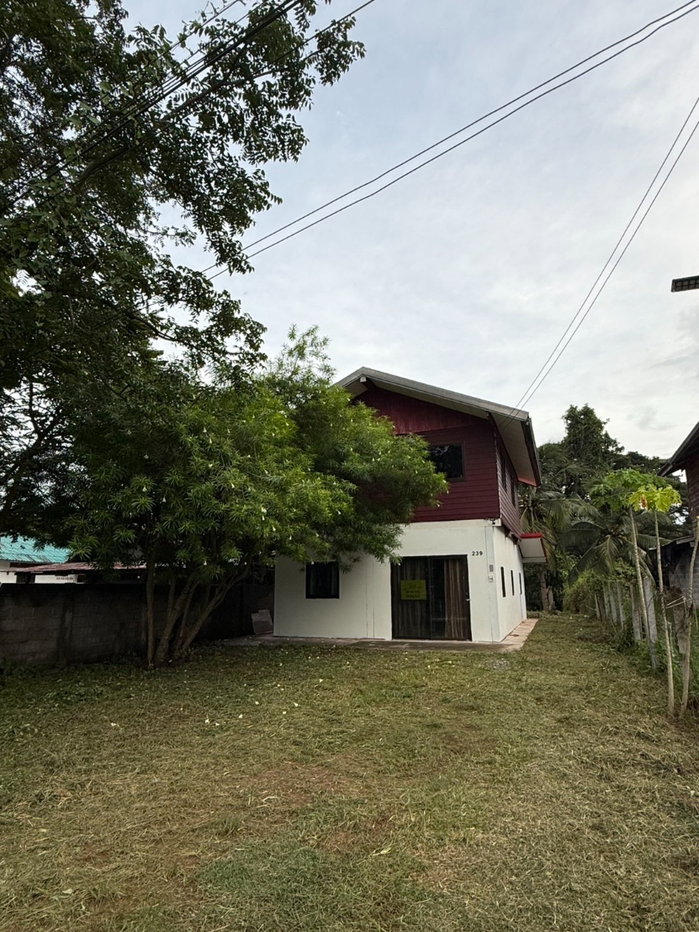 รูป บ้านเดี่ยวให้เช่า อำเภอ นาคู จังหวัด กาฬสินธ์ุ - รูปที่ 3/22