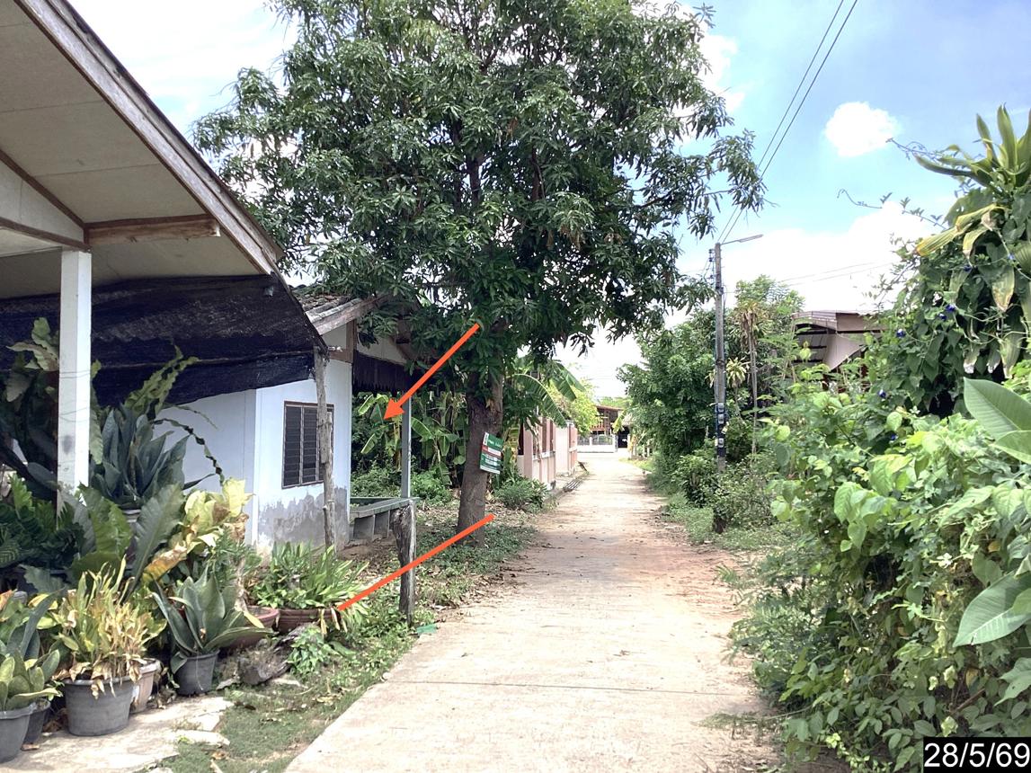 รูป บ้านเดี่ยว 59 ตร.วา คูเมือง บุรีรัมย์ 559,000 - รูปที่ 13/26