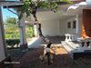 listing thumbnail image 52