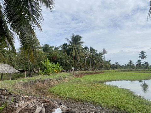 5 rai of land for sale, ideal for agriculture and building a house. Beautiful location in Khlong Mai, Sam Phran, Nakhon Pathom.