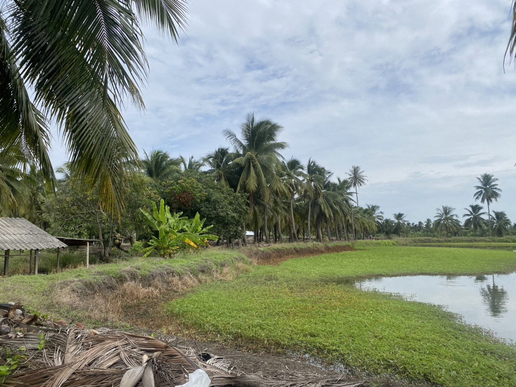 รูป ขาย ที่ดิน 5 ไร่ เหมาะสำหรับทำการเกษตรและปลูกบ้าน คลองใหม่สามพรานนครปฐมที่สวยมาก - รูปที่ 1/10