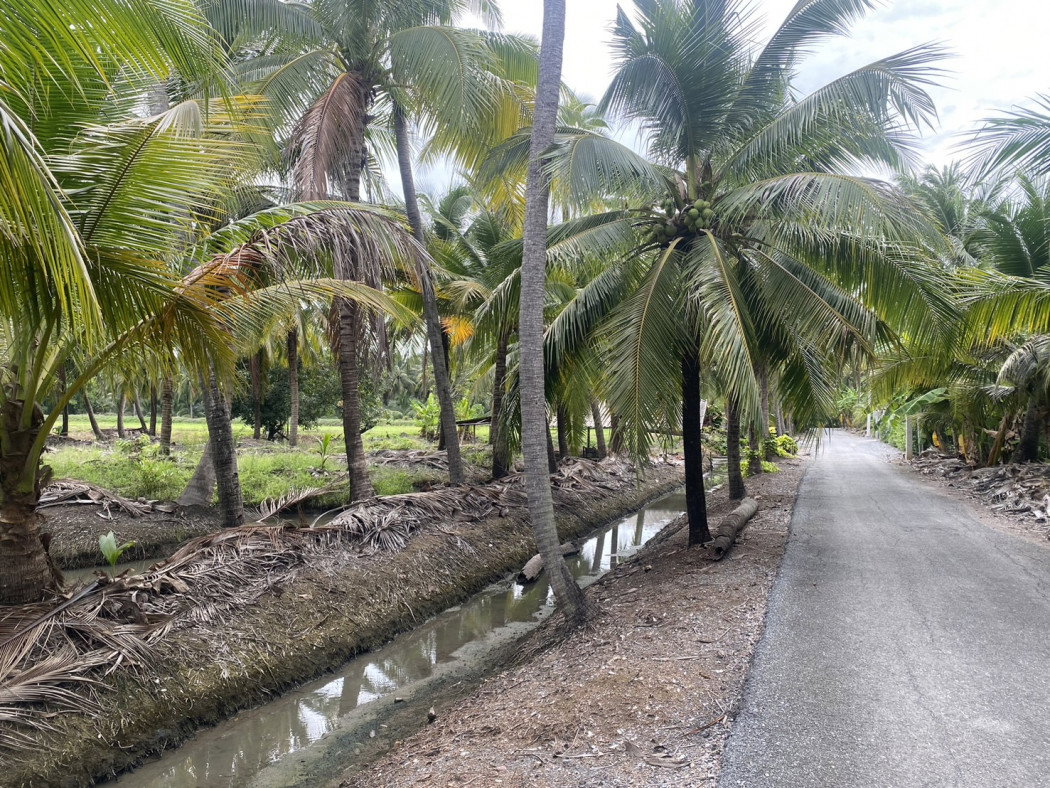 รูป ขาย ที่ดิน 5 ไร่ เหมาะสำหรับทำการเกษตรและปลูกบ้าน คลองใหม่สามพรานนครปฐมที่สวยมาก - รูปที่ 4/10