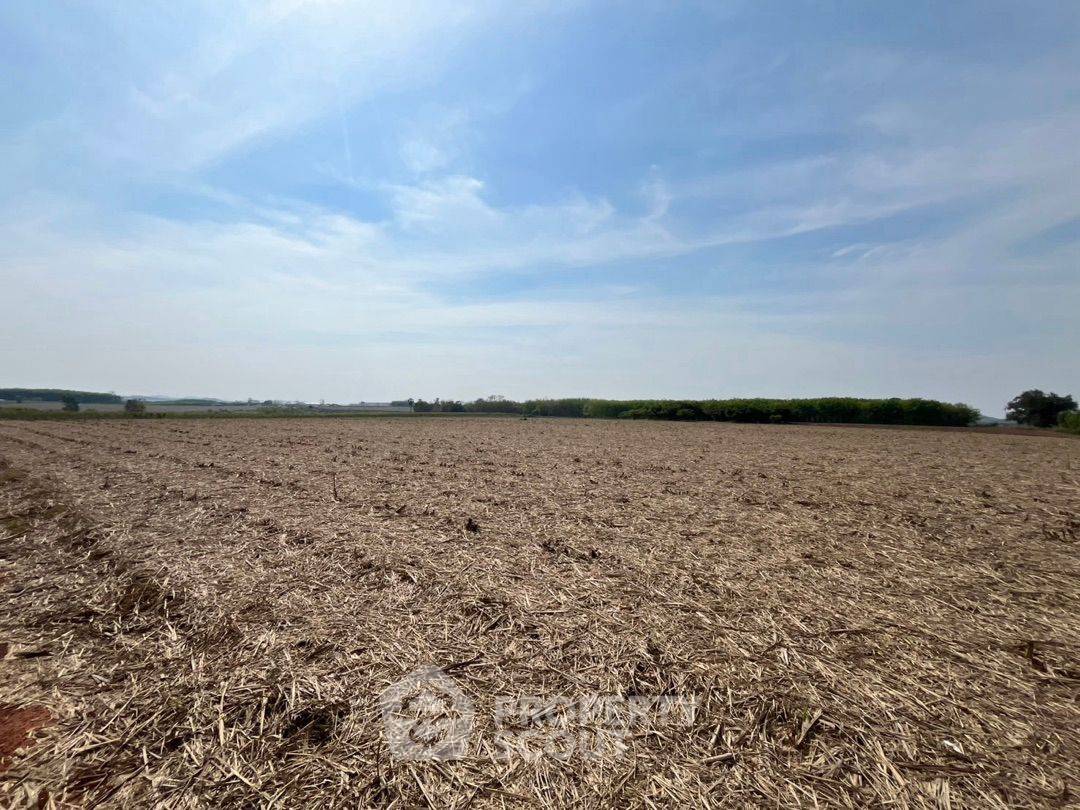 รูป ที่ดินขาย ในฮั่งซุง หนองใหญ่ ชลบุรี (ID 3146494) - รูปที่ 4/4