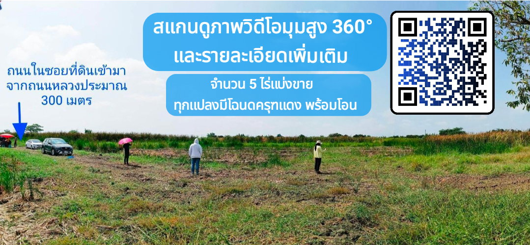 รูป ขายที่ดิน ถ.หลวงแพ่ง ใกล้Siam Premium Outlets เพียง 3 กม. (ซอยติดกับตลาดเทิดไท-สี่แยกลำต้อยติ่ง) - รูปที่ 8/19