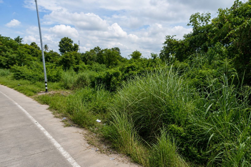รูป ขายที่ดินเปล่า 141 ตร.ว. ทำเลดี บางพระ – ศรีราชาซอยบ้านลุงเทิ้ม ใกล้อ่างเก็บน้ำบางพระ จังหวัดชลบุรี - รูปที่ 3/6