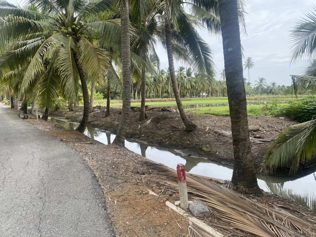รูป ขาย ที่ดิน 5 ไร่ เหมาะสำหรับทำการเกษตรและปลูกบ้าน คลองใหม่สามพรานนครปฐมที่สวยมาก - รูปที่ 8/10