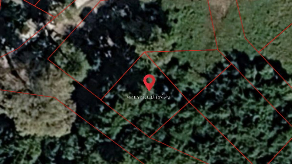 รูป ขายที่ดินเปล่า 141 ตร.ว. ทำเลดี บางพระ – ศรีราชาซอยบ้านลุงเทิ้ม ใกล้อ่างเก็บน้ำบางพระ จังหวัดชลบุรี - รูปที่ 5/6
