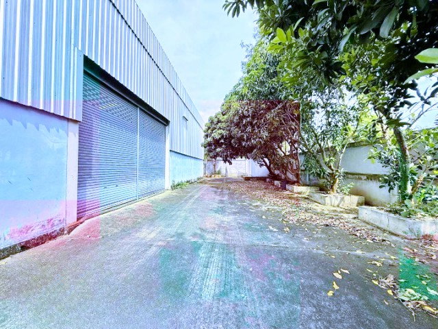 รูป โลตัส ปากช่อง 1.6 กม. พื้นที่ดิน 1 ไร่ 450 ตร.ม. ให้เช่าโกดัง พร้อมเครน ห้องน้ำ 2 ห้อง ใกล้ฟาร์มโชคชัย 200 ม. - รูปที่ 3/8