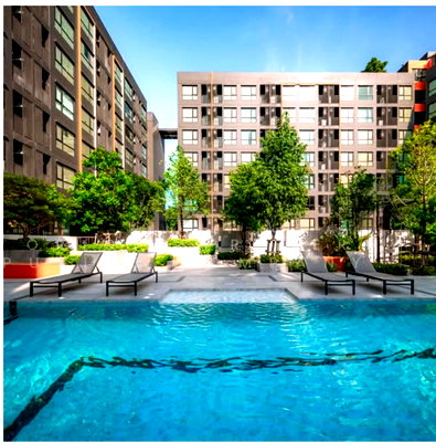 Condos for rent : 1-bedroom condo for rent, Origin Play Sri Udom, near BTS (pets allowed). Line: namkang27