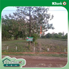 listing thumbnail image 19