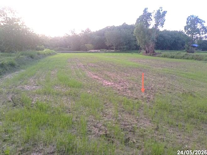 รูป ที่ดินว่างเปล่า 6306 ตร.วา เดชอุดม อุบลราชธานี 1.9M - รูปที่ 8/22