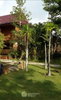 listing thumbnail image 9