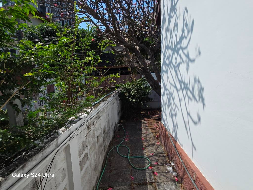 รูป บ้านเดี่ยว 4 ห้องนอน ให้เช่า ถนนสุขุมวิท101 ซอยปุณณวิถี 10-15 นาทีเดินถึงบีทีเอสปุณณวิถี - รูปที่ 45/67