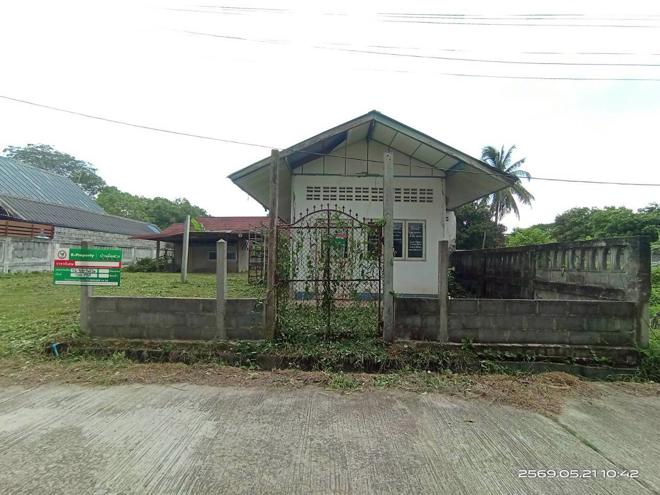 รูป บ้านเดี่ยว 100 ตร.วา วาปีปทุม มหาสารคาม 1.4M - รูปที่ 1/28
