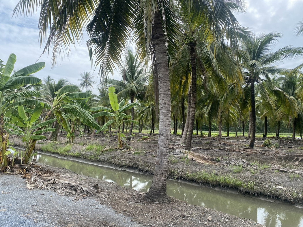 รูป ขาย ที่ดิน 5 ไร่ เหมาะสำหรับทำการเกษตรและปลูกบ้าน คลองใหม่สามพรานนครปฐมที่สวยมาก - รูปที่ 3/10