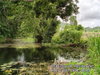 listing thumbnail image 12