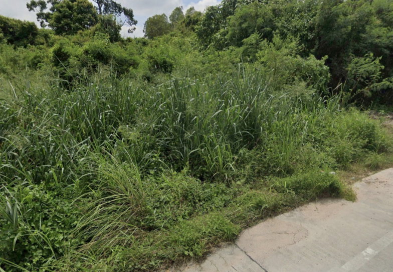 รูป ขายที่ดินเปล่า 141 ตร.ว. ทำเลดี บางพระ – ศรีราชาซอยบ้านลุงเทิ้ม ใกล้อ่างเก็บน้ำบางพระ จังหวัดชลบุรี - รูปที่ 4/6