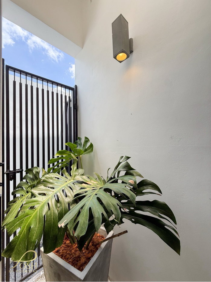 รูป Agent Welcome Coco Villa Palai, Chalong โคโค่วิลล่า ฉลอง (ป่าหล่าย) รีโนเวทใหม่ พร้อมเฟอร์นิเจอร์ Built-in ทำเลใกล้ฉลองและซอยตาเอียดเพียง2km - รูปที่ 34/41