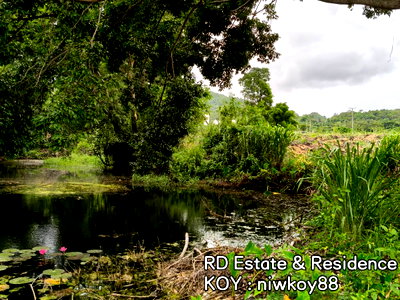 ที่ดิน ปากช่อง โคราช : ขายที่ดินติดน้ำ เขาใหญ่ ถนนธนะรัชต์ ปากช่อง ที่ดินติดมินวินเทอร์ Midwinter 20ไร่ หน้ากว้างติดถนน ใกล้มอเตอร์เวย์ M6 Makro โรงพยาบาล โรงเรียนนานาชาติ