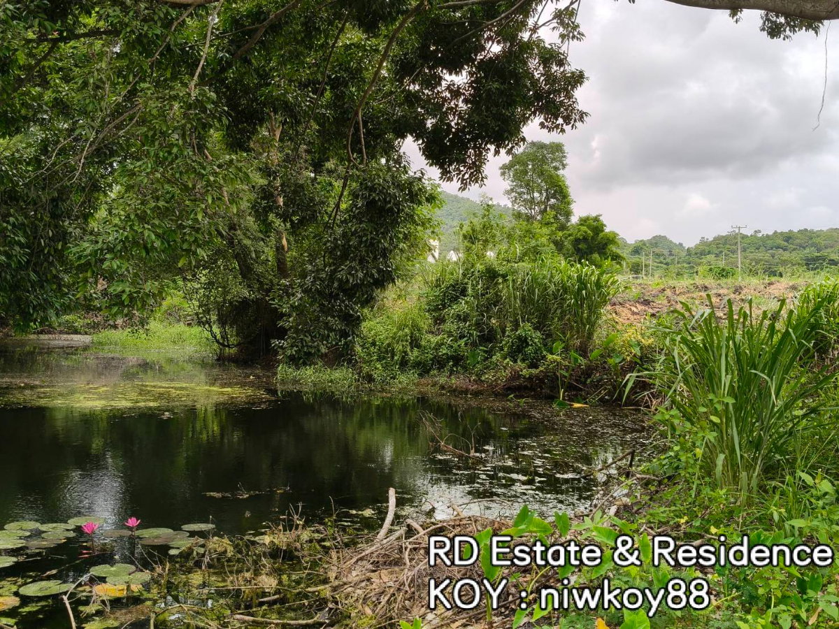 รูป ขายที่ดินติดน้ำ เขาใหญ่ ถนนธนะรัชต์ ปากช่อง ที่ดินติดมินวินเทอร์ Midwinter 20ไร่ หน้ากว้างติดถนน ใกล้มอเตอร์เวย์ M6 Makro โรงพยาบาล โรงเรียนนานาชาติ - รูปที่ 1/13