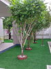 listing thumbnail image 12