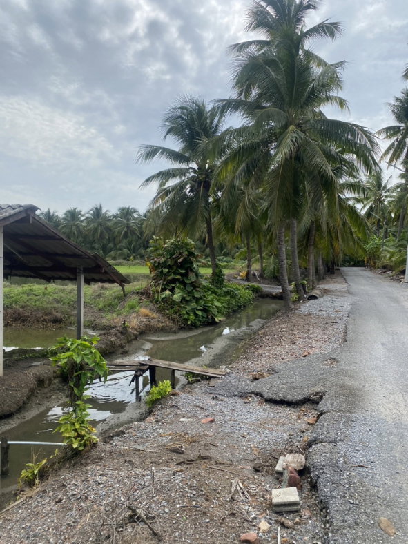 รูป ขาย ที่ดิน 5 ไร่ เหมาะสำหรับทำการเกษตรและปลูกบ้าน คลองใหม่สามพรานนครปฐมที่สวยมาก - รูปที่ 10/10