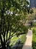 listing thumbnail image 10