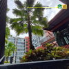 listing thumbnail image 18