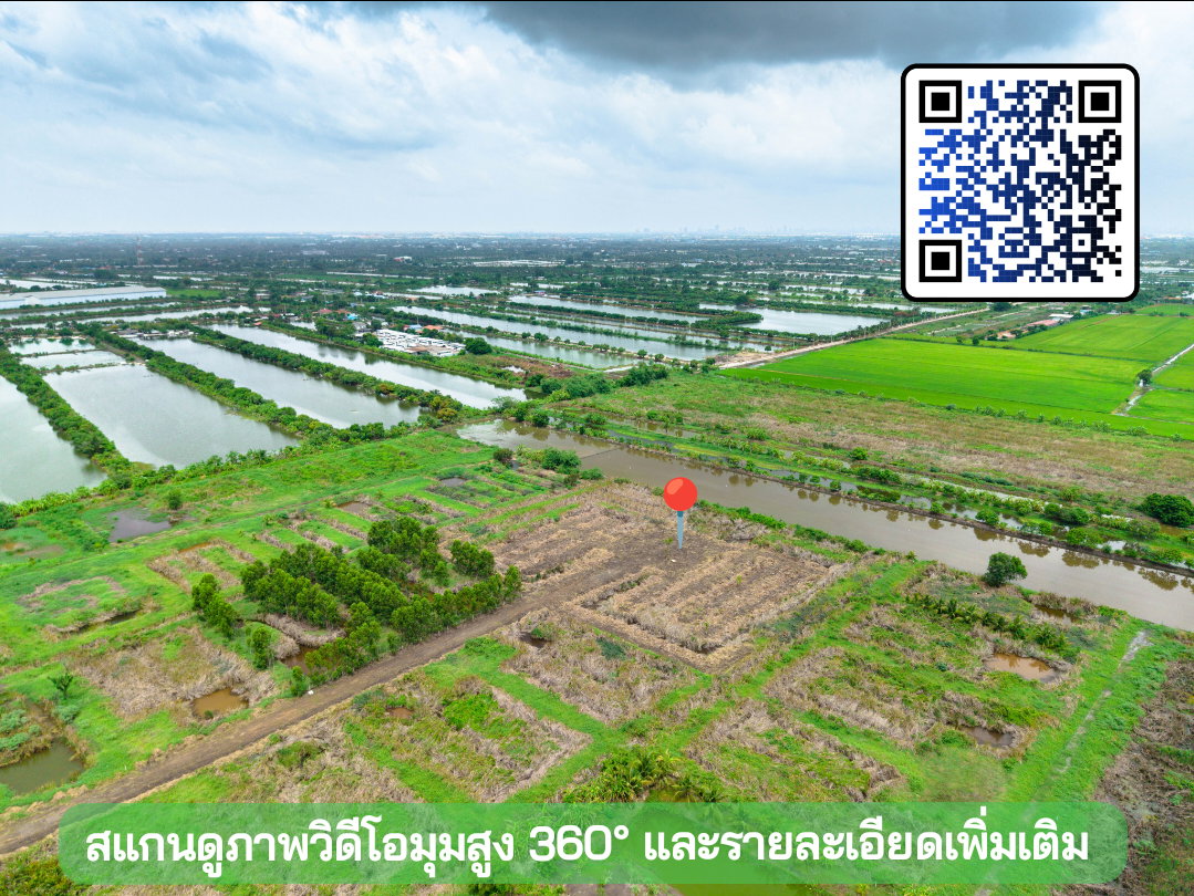 รูป ขายที่ดิน ถ.หลวงแพ่ง ใกล้Siam Premium Outlets เพียง 3 กม. (ซอยติดกับตลาดเทิดไท-สี่แยกลำต้อยติ่ง) - รูปที่ 11/19