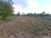 listing thumbnail image 15