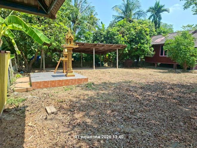 รูป บ้านเดี่ยว 150 ตร.วา แสวงหา อ่างทอง 633,000 - รูปที่ 13/40