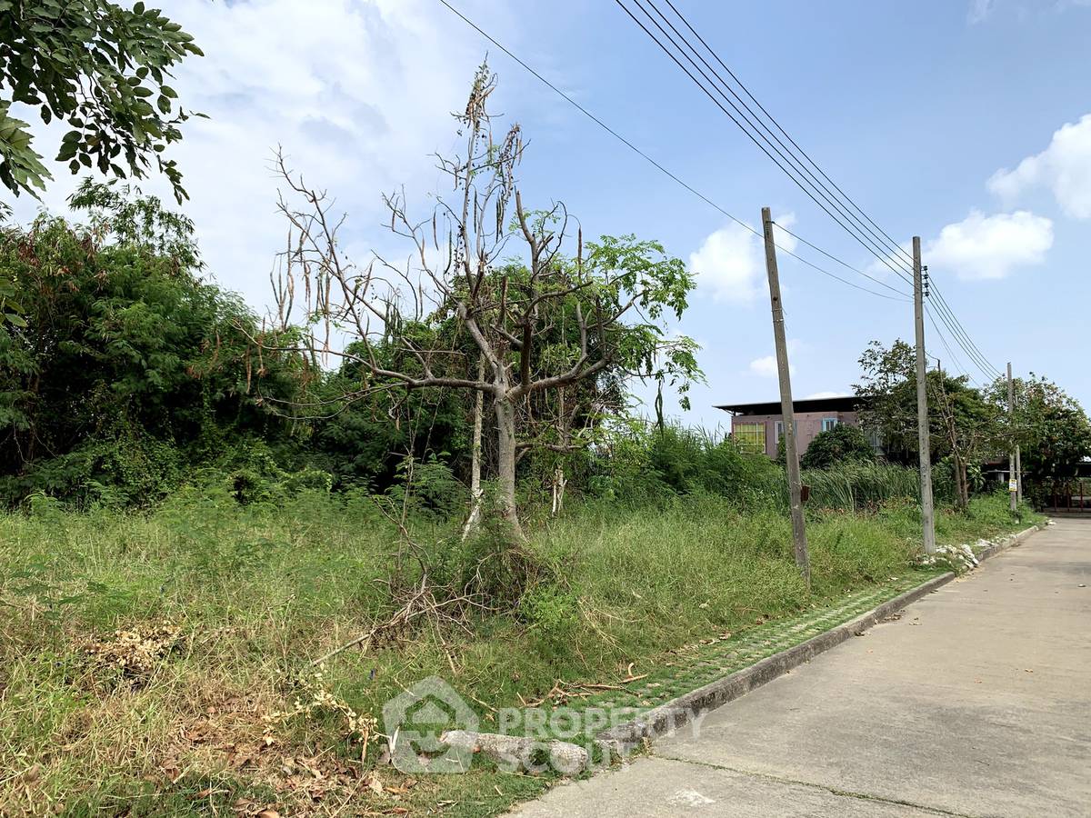 รูป ขายที่ดิน Thep Thani Village โครงการเทพธานี วิลเลจ ดอกไม้ ประเวศ กรุงเทพ (7.13 ลบ.) (ID 3146127) - รูปที่ 1/4